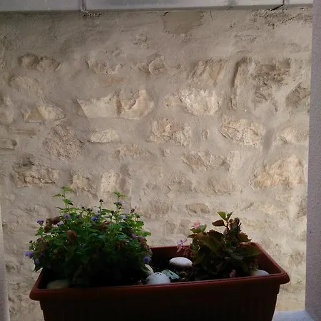 Guest house Miro 3*