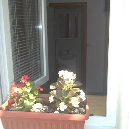Guest house Miro 3*